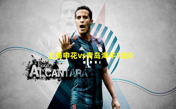 上海申花vs青岛海牛1比0