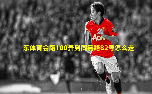 东体育会路100弄到同嘉路82号怎么走