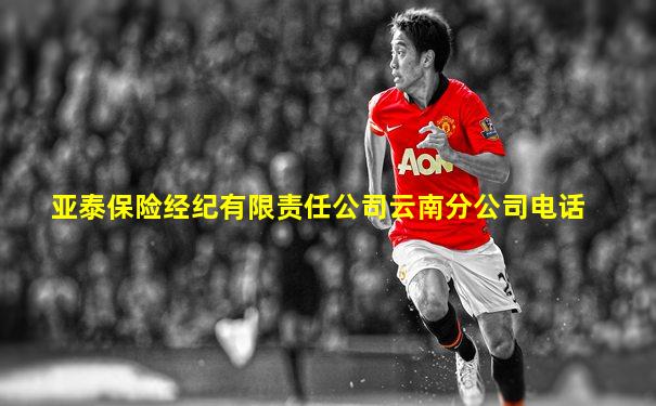 亚泰保险经纪有限责任公司云南分公司电话