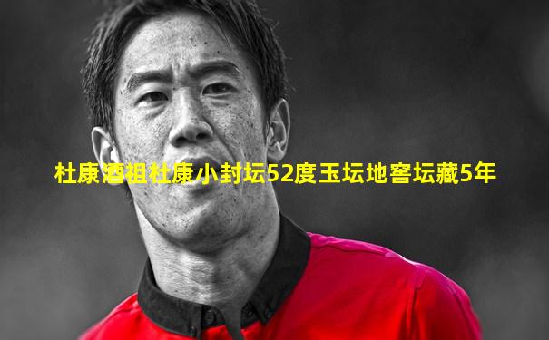 杜康酒祖杜康小封坛52度玉坛地窖坛藏5年
