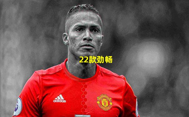 22款劲畅